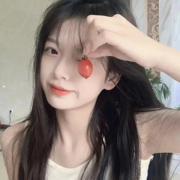 月亮下去了 封面